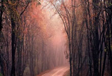 德罗巴赛事官方发布赛况扑朔迷离新规，塞尔维亚队争议不断！的简单介绍